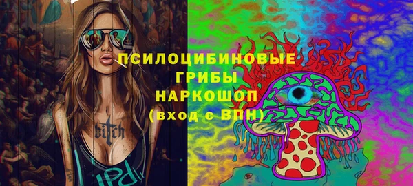 спиды Бородино