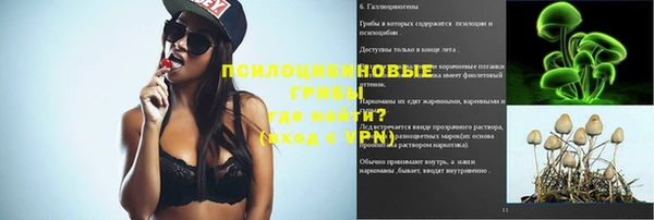 эйфоретик Бронницы