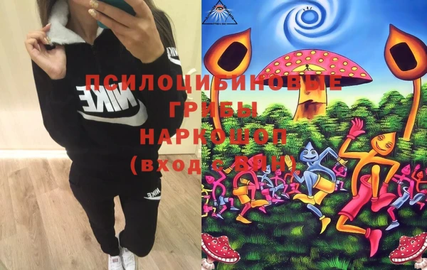 эйфоретик Бронницы
