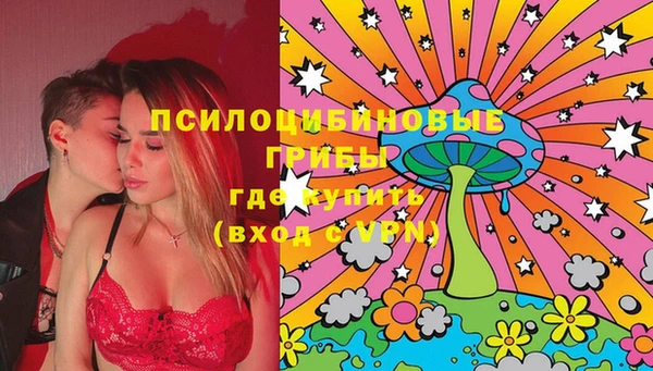 PSILOCYBIN Саяногорск