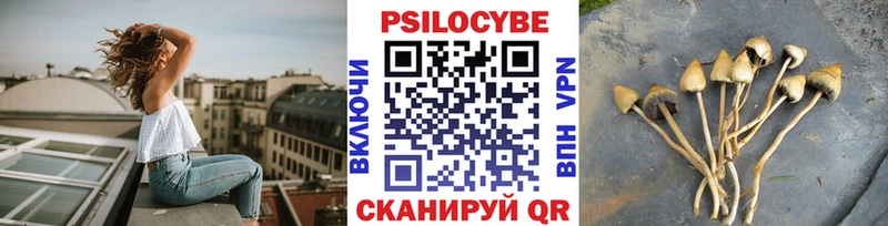 Галлюциногенные грибы MAGIC MUSHROOMS блэк спрут ССЫЛКА Свободный где купить наркотик