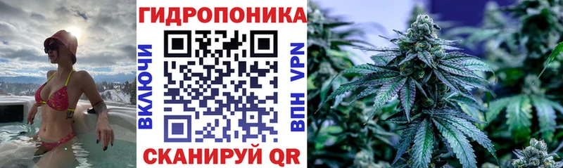 Бошки Шишки ГИДРОПОН  хочу   Свободный 